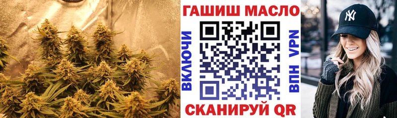 как найти наркотики  kraken маркетплейс  ТГК THC oil  Сычёвка 